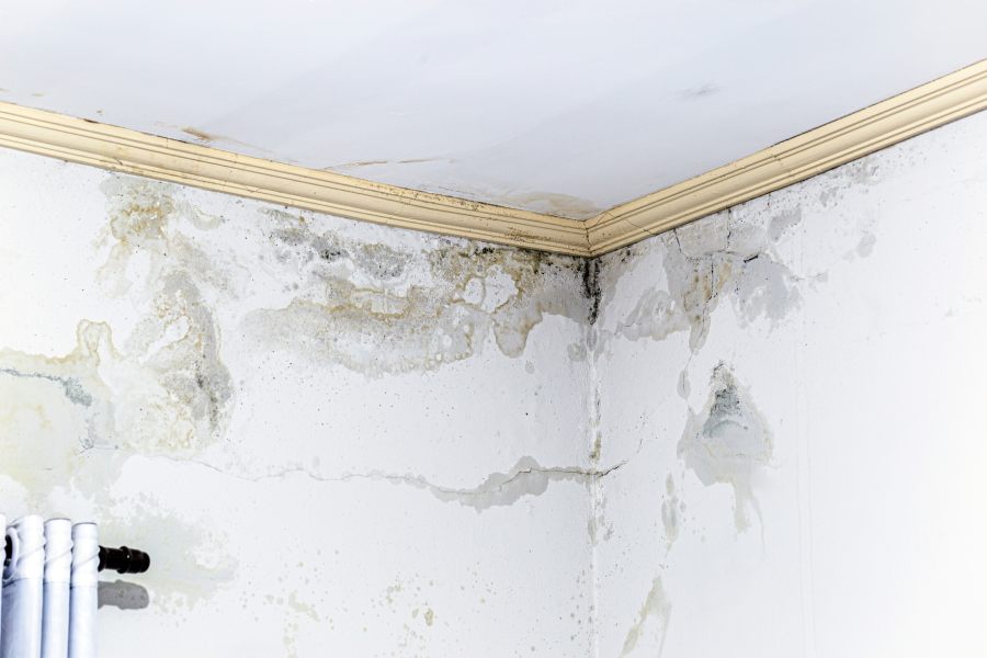 signs of water damage